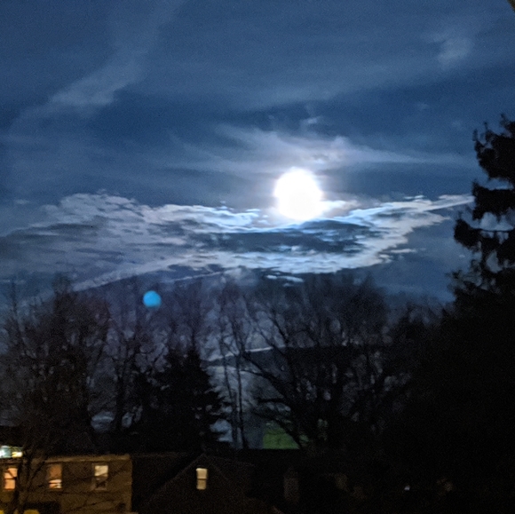 Meet your Posher, Angela - Picture 6 of 6